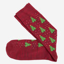 Pima Cotton Holiday-Themed Socks image number null