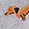 Light Gray Hot Dog