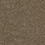 Taupe Nubuck