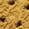 Yellow Suede