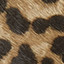 Sienna Belted Bootie - Leopard Haircalf