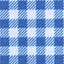 Game Day Long-Sleeve Gingham Shirt - Royal