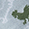 Light Blue Chicken