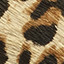 Sienna Pump - Leopard Haircalf