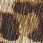 Gracie Colorblock Lace-Up - Sand Kid Suede/Leopard Haircalf